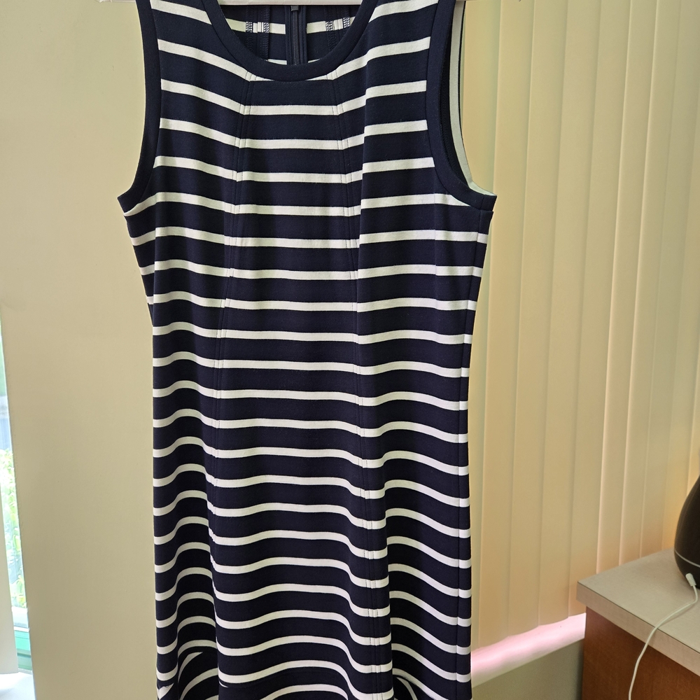 Banana Republic Blue and White Sleeveless Sheath Dress